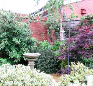 Chris Hayes Garden Design Somerset